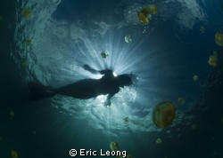 Mermaid by Eric Leong 